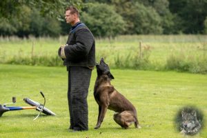 68454140 2522081607830329 90186483490619392 o