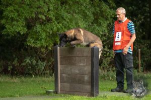 68652829 2522080461163777 2571219348987314176 o