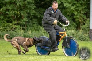 68694356 2522081731163650 5478621305949388800 o