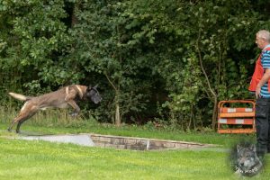 68714224 2522082541163569 6511084710368641024 o