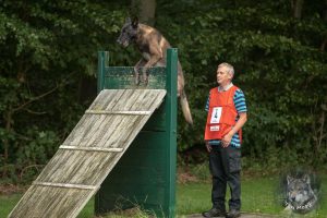 68740564 2522080504497106 261654673302224896 o