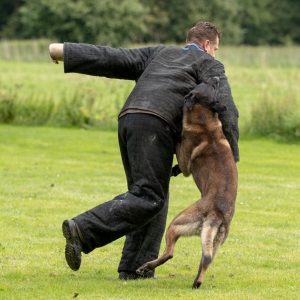 68745922 10218286083136152 1082898917613371392 n