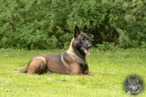 68981728 2522079644497192 69398588374908928 o