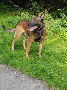 69247991 427740257837115 8276214250666459136 n