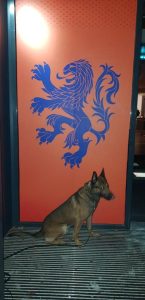 69248203 378884039675448 2803133151881199616 n