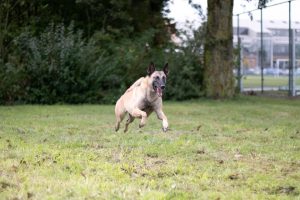 70173830 3045386795531957 3477526060545867776 n