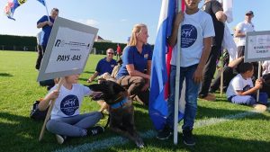 70508085 1377467669075891 8699500204153372672 n