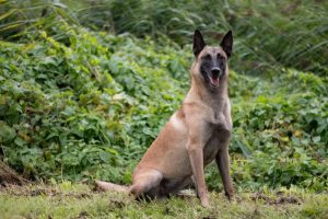 70534505 3045386865531950 8680072774288408576 n