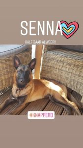 70559181 2434950846625072 7463223116727058432 n