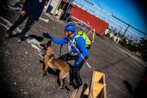 70776428 2413370062043605 359154700118917120 n