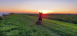 71930452 783022425465326 3220237994594140160 o