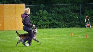 73245958 2374195872691535 7775908126129127424 o