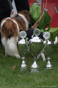 73289093 2374198412691281 8507678516513341440 n