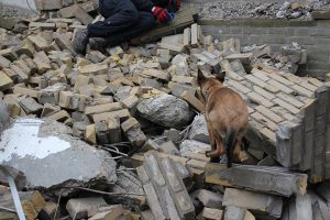 734234 515649475149016 466881927 n