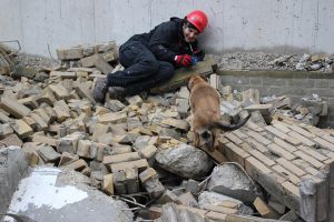 734326 515649461815684 579200084 n