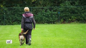 75407674 2374195899358199 3190753555208208384 o