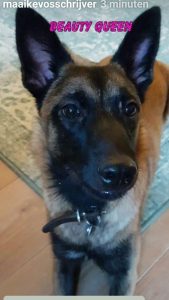 77135323 2585846714868817 7375680086822879232 o