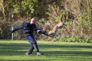 78246491 2566001910158753 1024229591335567360 o