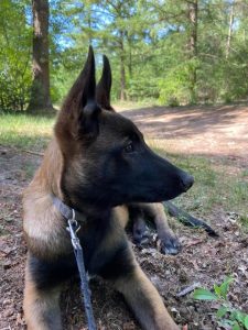 82974130 139983680986814 5113013112525553664 n