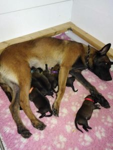 86794395 3183051218391667 4679426251209834496 o