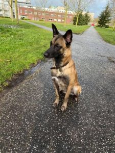 89845391 2830773140376172 530933725303668736 n