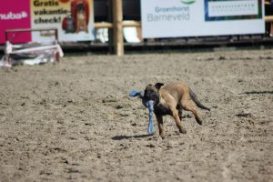 923360 621267104570104 185578175 n