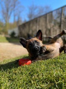 92746222 118352943149888 5674693422074560512 n