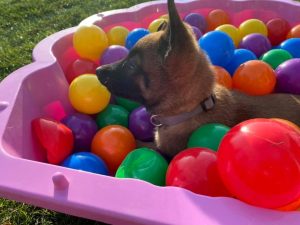 92848894 118897109762138 7895414246815563776 n