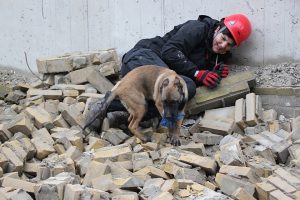 931319 515649448482352 1983834330 n