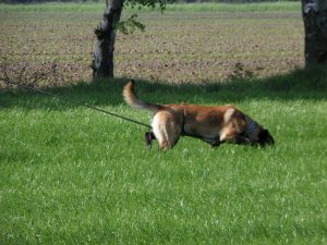 936203 308675052598809 1334797332 n