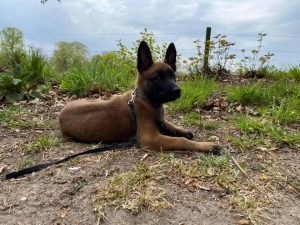 94031180 122851502700032 7179935358874812416 n