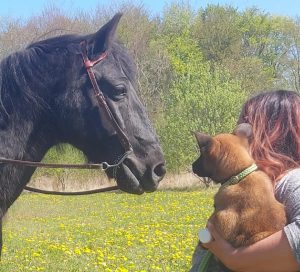 94098282 1529734723897261 3979084636201418752 n