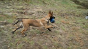 941724 513848388662458 793792340 n