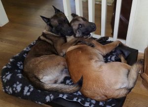 942268 1712151245668733 7050691459907684824 n 1