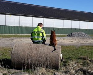 94243093 2605963479660904 3383957444928471040 o