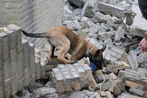 945034 515649408482356 614284775 n