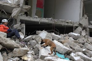 945799 515649615149002 626245924 n