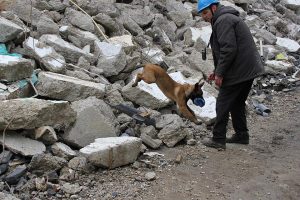 946676 515649561815674 852145195 n