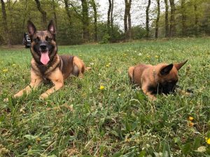 94753503 127263708925478 7731219021479018496 n