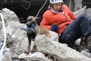 954872 515649621815668 1835094626 n