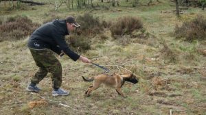 954873 513848485329115 220878775 n