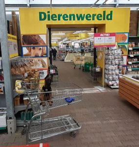 95638072 1505192149663356 6747781023771131904 n