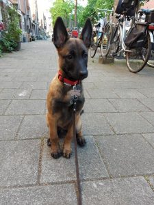 95929711 1543790232491710 4814319328457392128 n