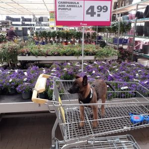 95946294 1505019946347243 2788407585923923968 n