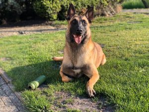 96395449 3545126868835831 1883243928371593216 o