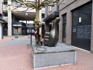 964532 306353499497631 541537446 o