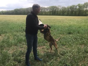 96525099 132891378362711 818993522534252544 n