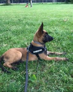 96562928 131956591789523 1929500558645788672 n