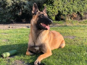 96583713 3545126798835838 610846402209120256 o