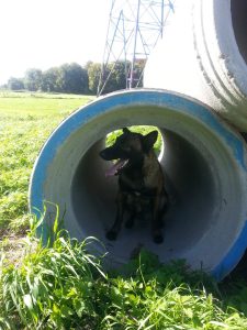 967553 363855950414052 1625871650 n sept. 2013